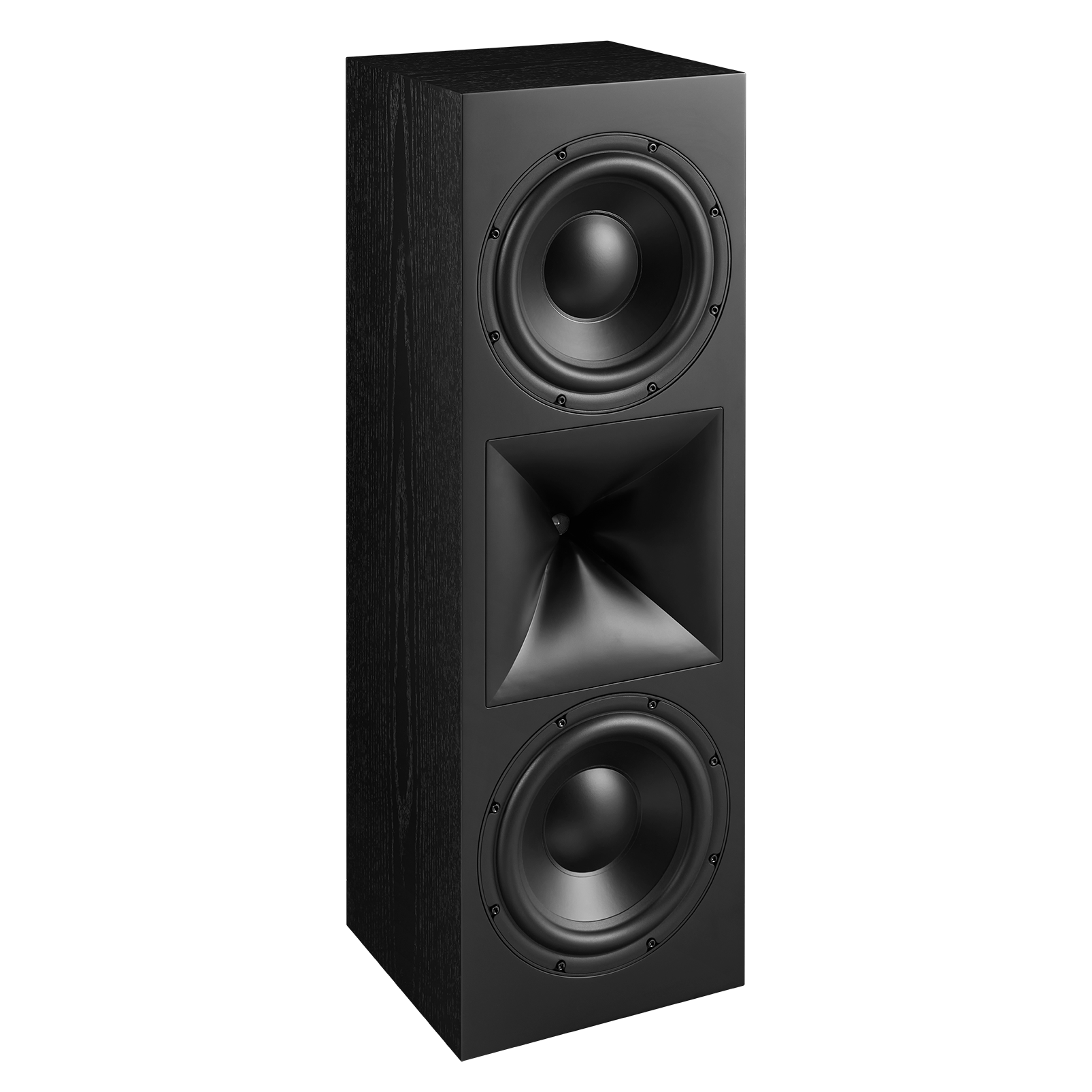 SCL-10XL - Black - 2 -way Dual 10 -inch Built-In Loudspeaker - Detailshot 1